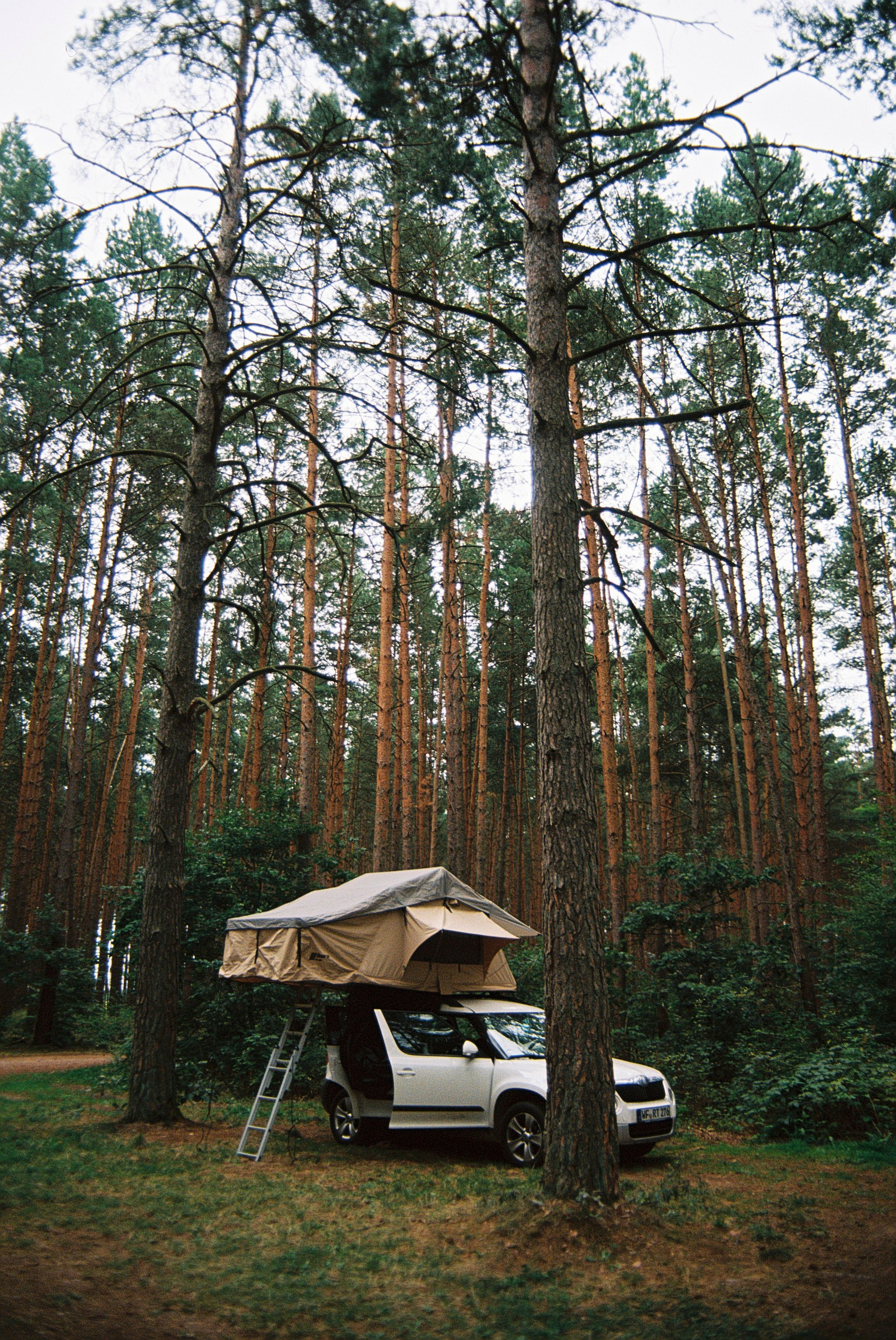 Campers